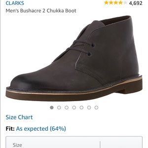 Clark’s men Bushachre 2 Chukka boot
